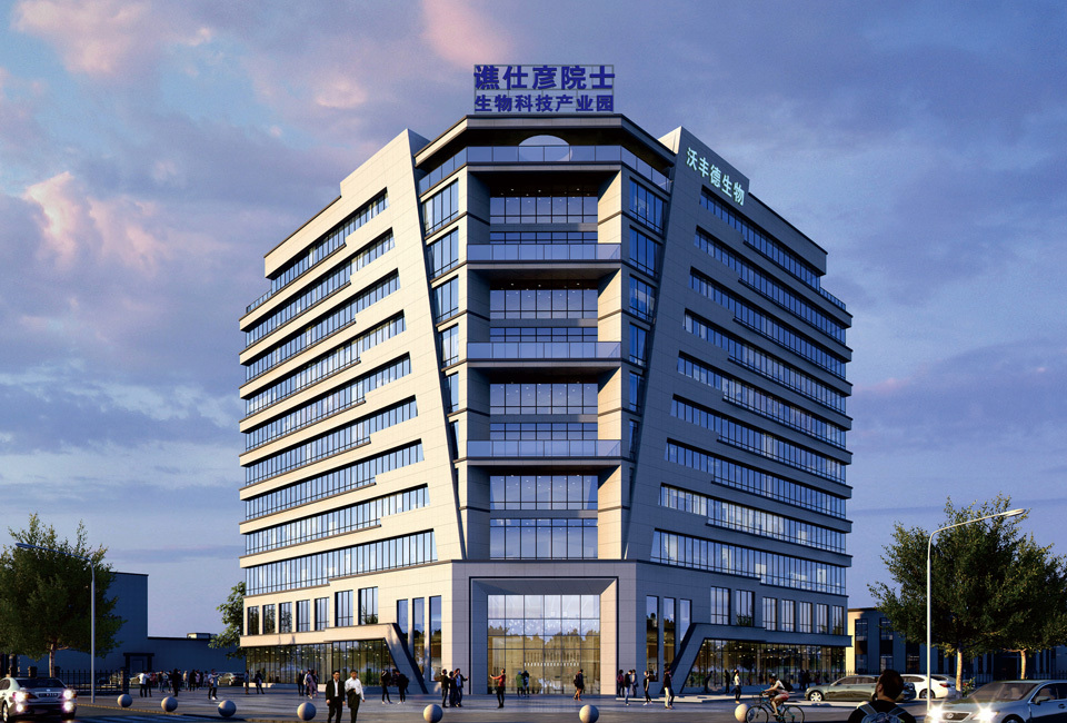 公司 公司